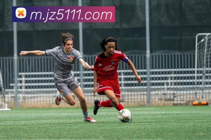 九州娱乐官网平台平台生态图